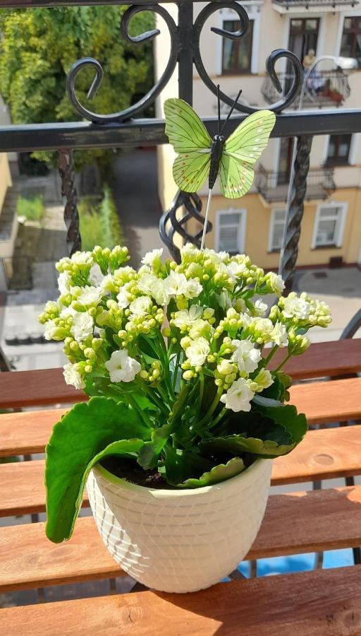 Apartament Black Sea 2 Rooms - Pokoje Svinoústí Exteriér fotografie